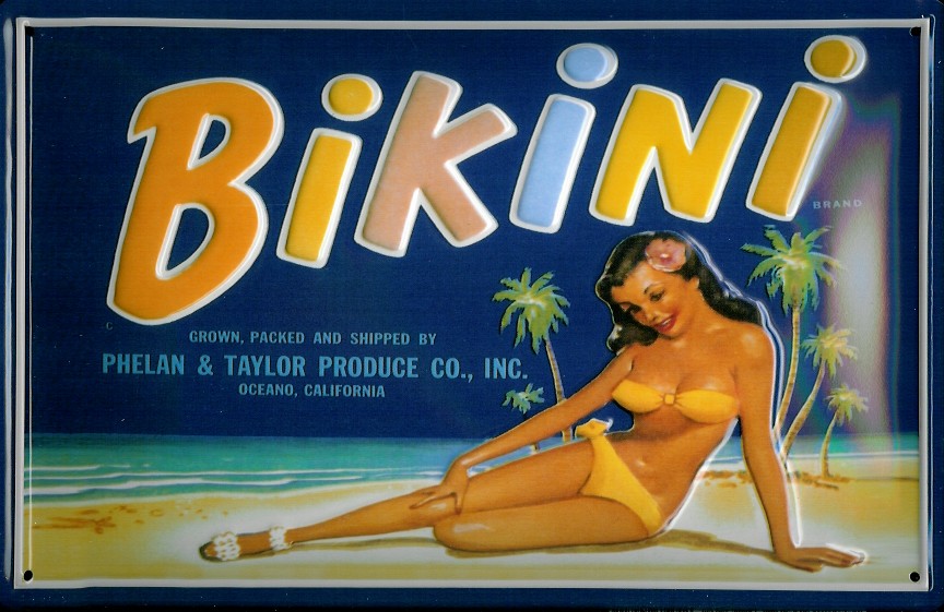 B379-Bikini Blechschild Nostalgieschild Bikini Mädchen Südsee Strand
