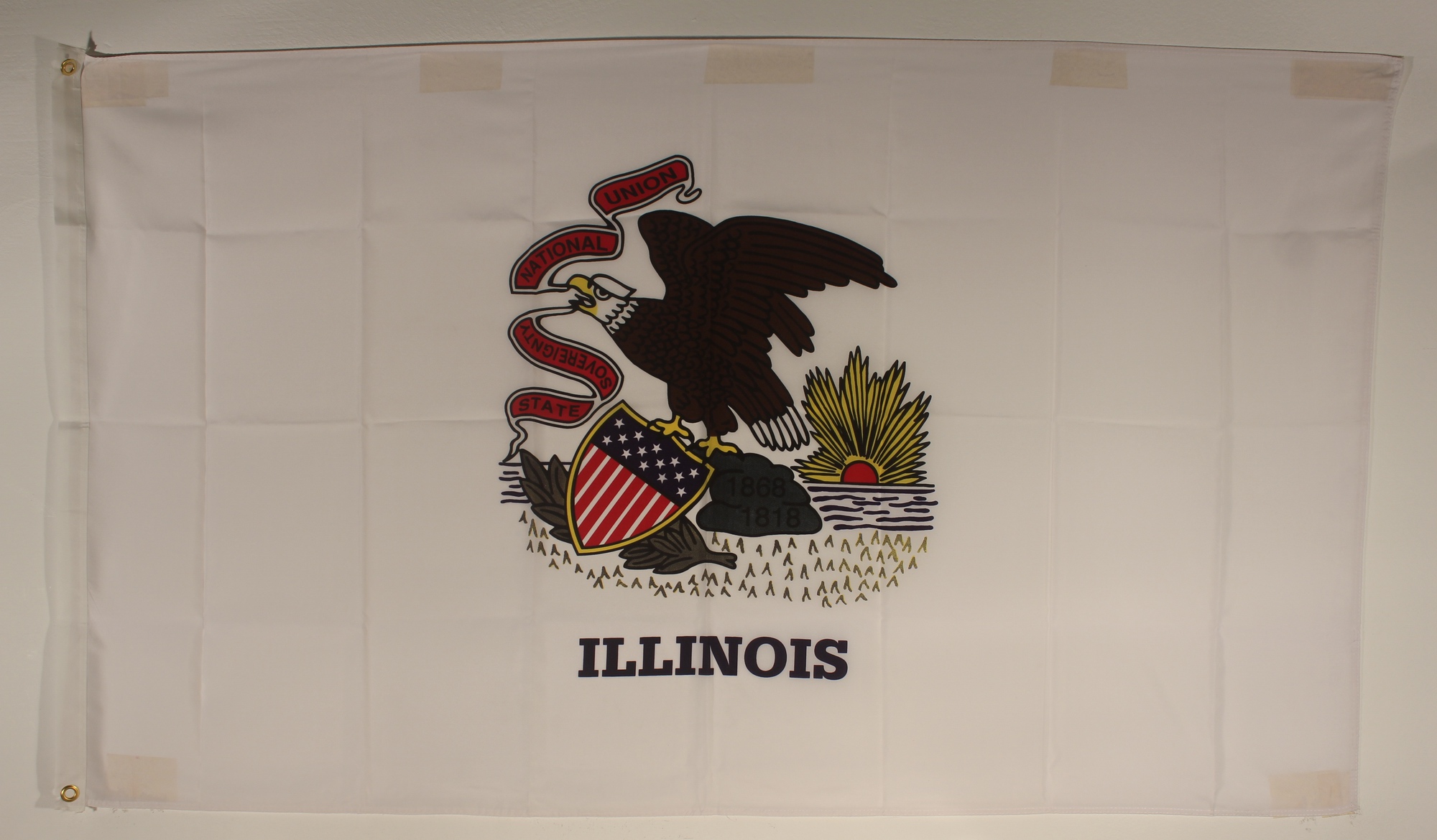 Flagge Fahne : Illinois