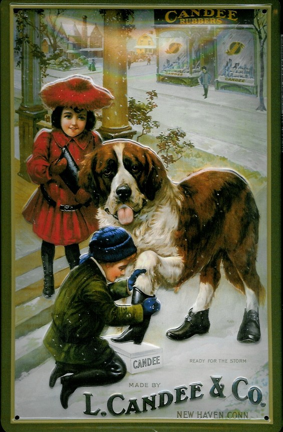 candee-bernhardiner-hund-schuhe-blechschild Blechschild Candee Schuhe Bernhardiner Hund Werbeschild Schild Nostalgieschild