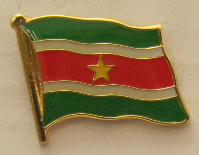pin_flagge_surinam Surinam Pin Anstecker Flagge Fahne Nationalflagge