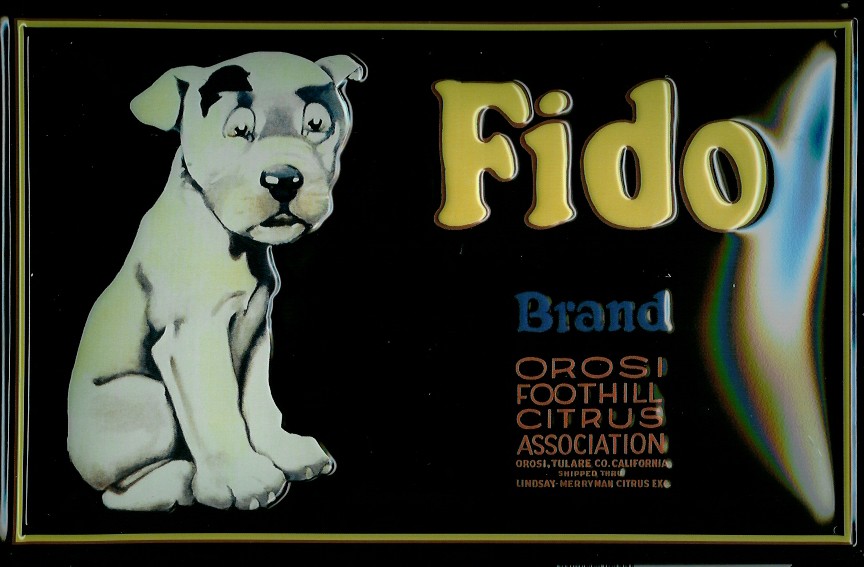 Blechschild Fido Hund Citrus Schild Nostalgieschild Werbung | Orte, Reisen, Wappen und sonstige Motive | Blechschilder Inh. Eda Binikowski e.K.
